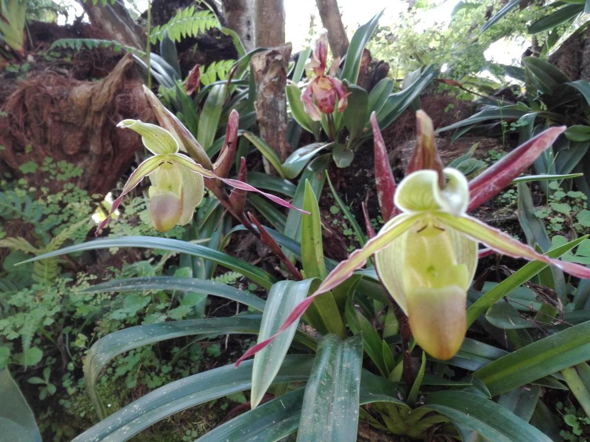 Mi Jardin Encantado Villa Eksteriør bilde