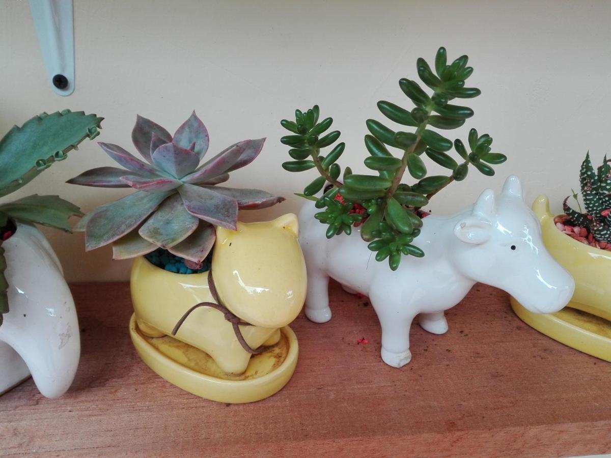 Mi Jardin Encantado Villa Eksteriør bilde